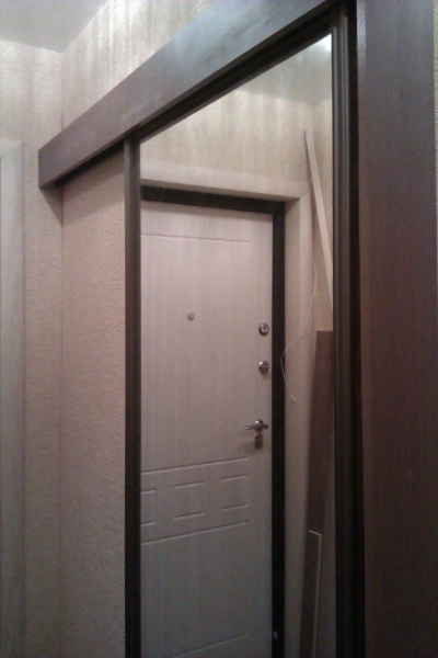 Дверь-купе с зеркалом 02